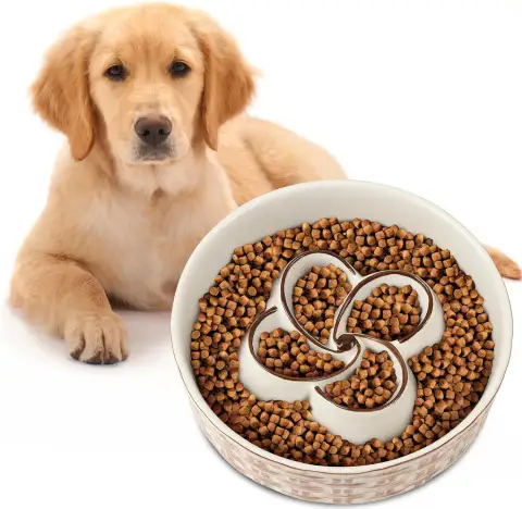 Ceramic Slow Feeder Dog Bowl Dog for Medium Large