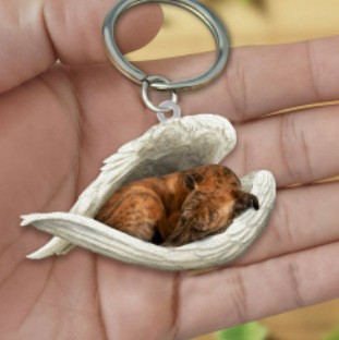 Men And Women Fashion Backpack Charm Keychain