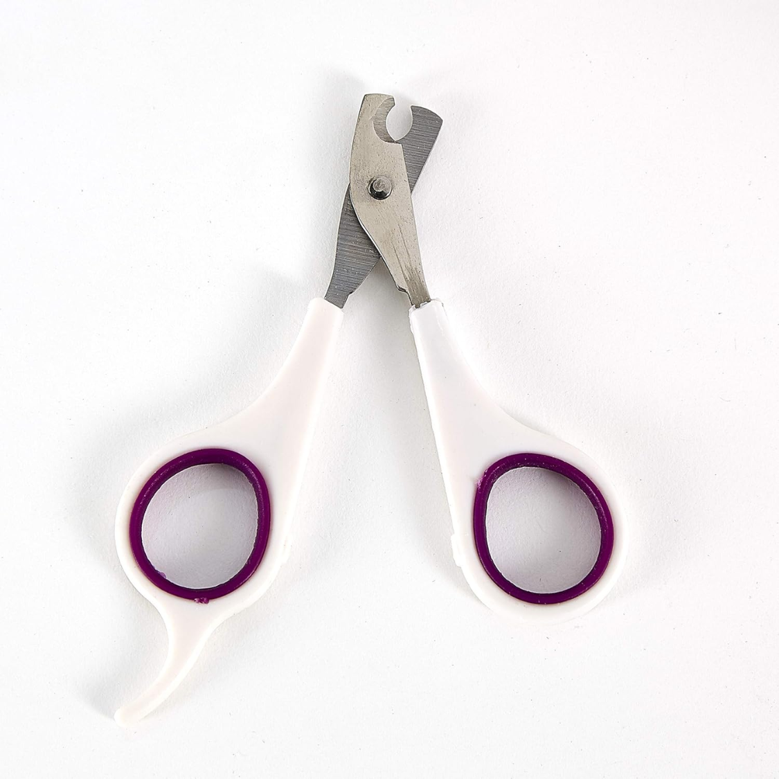 Coupe griffes chien – pince de coupe violette pour un entretien facile
