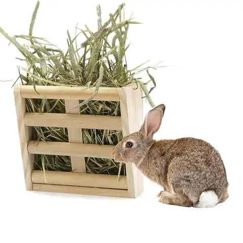 Wooden Grass Rack and Food Box Rabbit Chinchilla