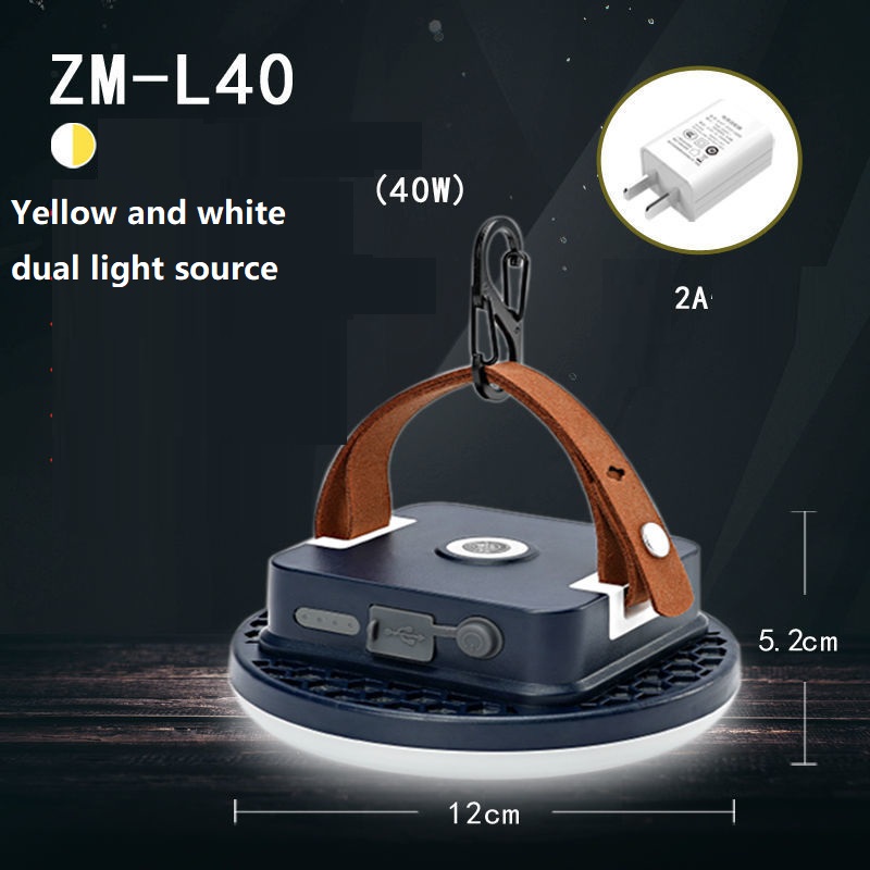 ZML40 Dual light source