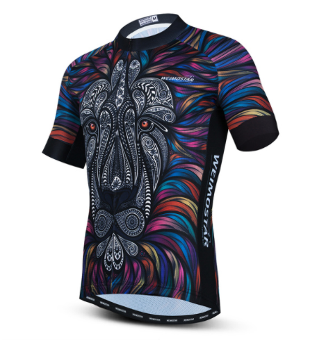 Title 13, Cycling Jerseys Men 3D Lion Printing Bicycle Cl...