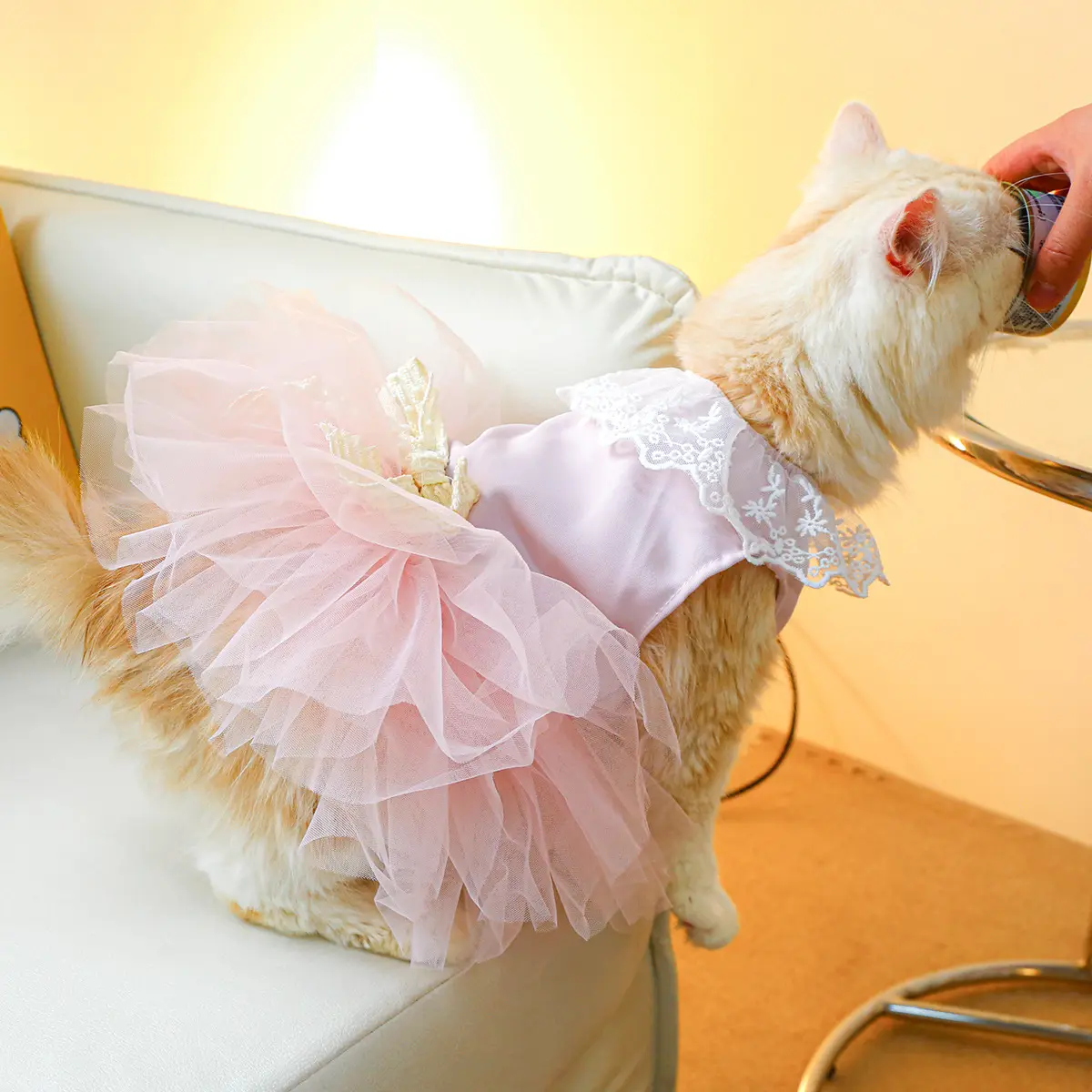 Pet Clothing Cat Clothes Lace