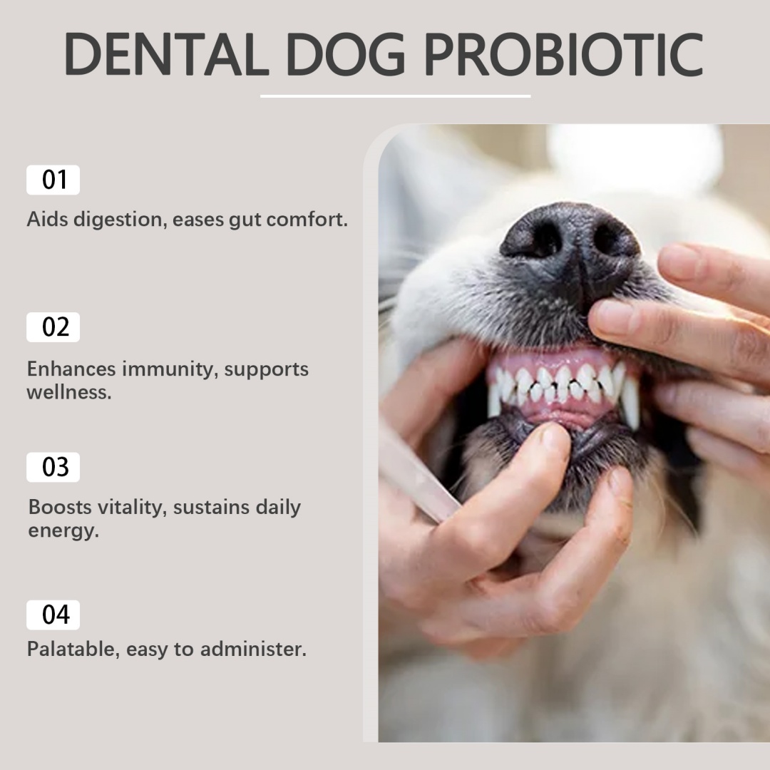 Dog Dental Care Powder Supplement 2