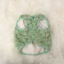 Green Vest