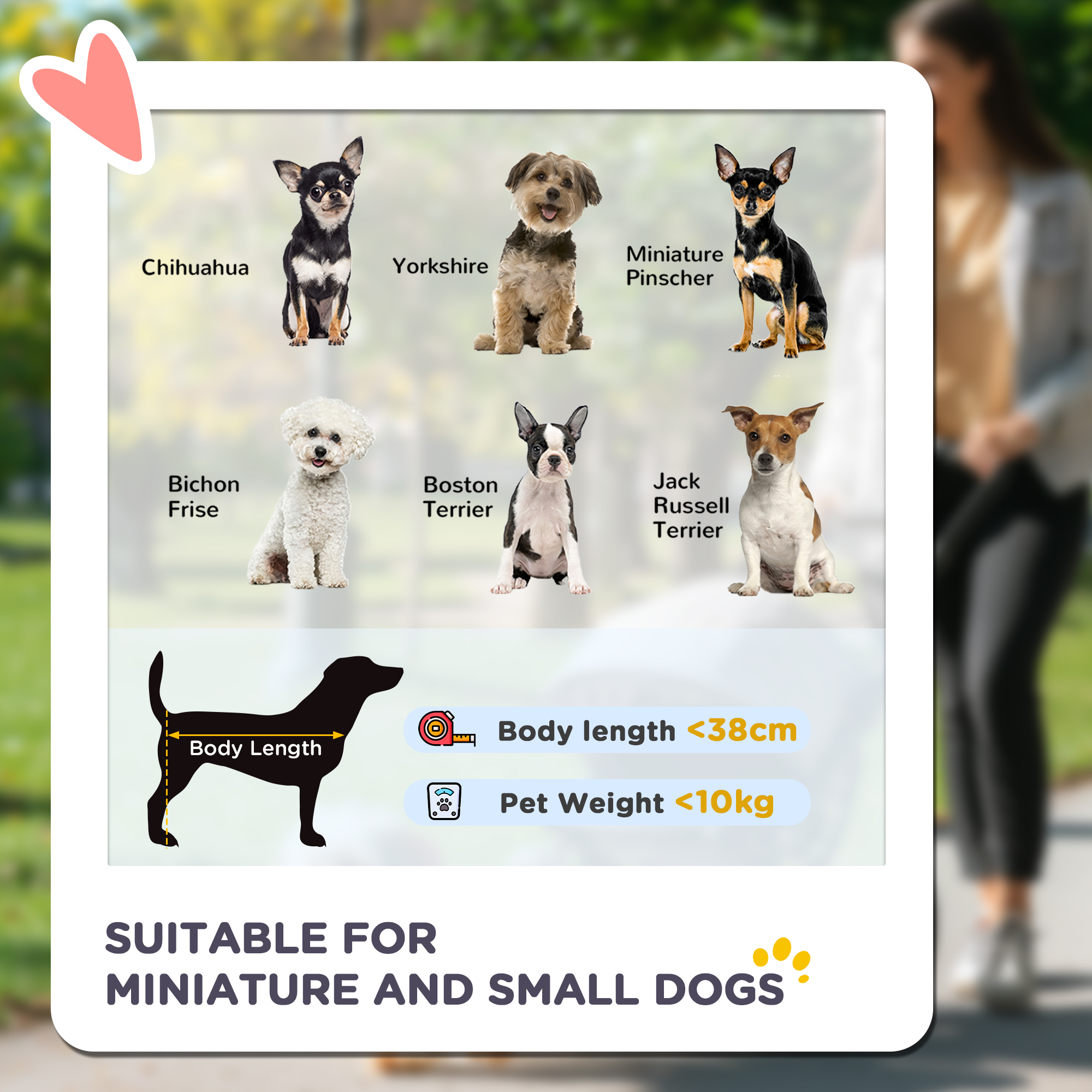 Small And Mini Dog Pet Strollers With Rain Cover — image 5