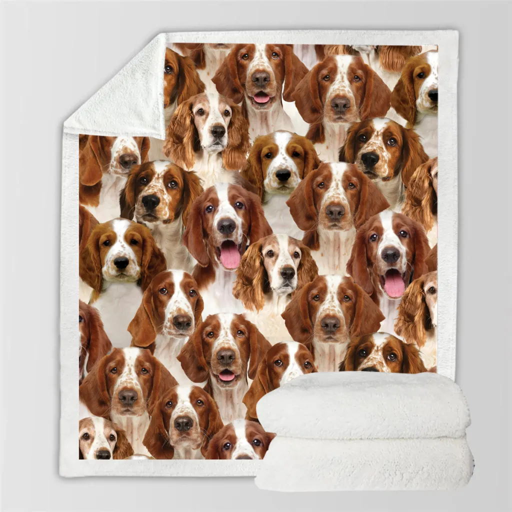 New Fashion Pet Dog Printed Flannel Blanket - 2 Style