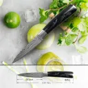 3.5Inch Fruit Knife