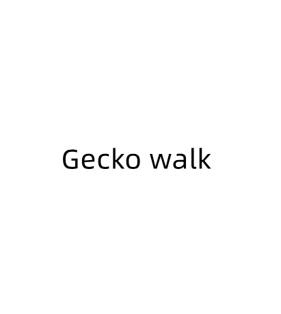 Gecko Stroll