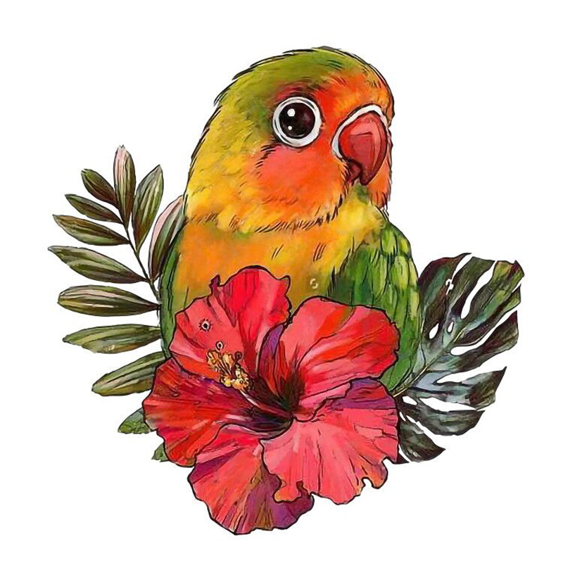 A4 rose parrot