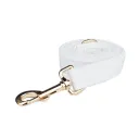 Dog Leash2