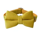 Bow Dog Collar
