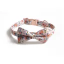 Orange Buckle