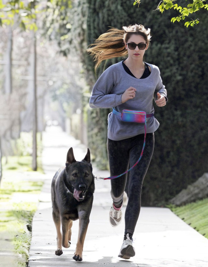 Hands-Free Dog Leash & Waist Bag