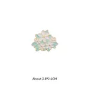 Cherry Blossom