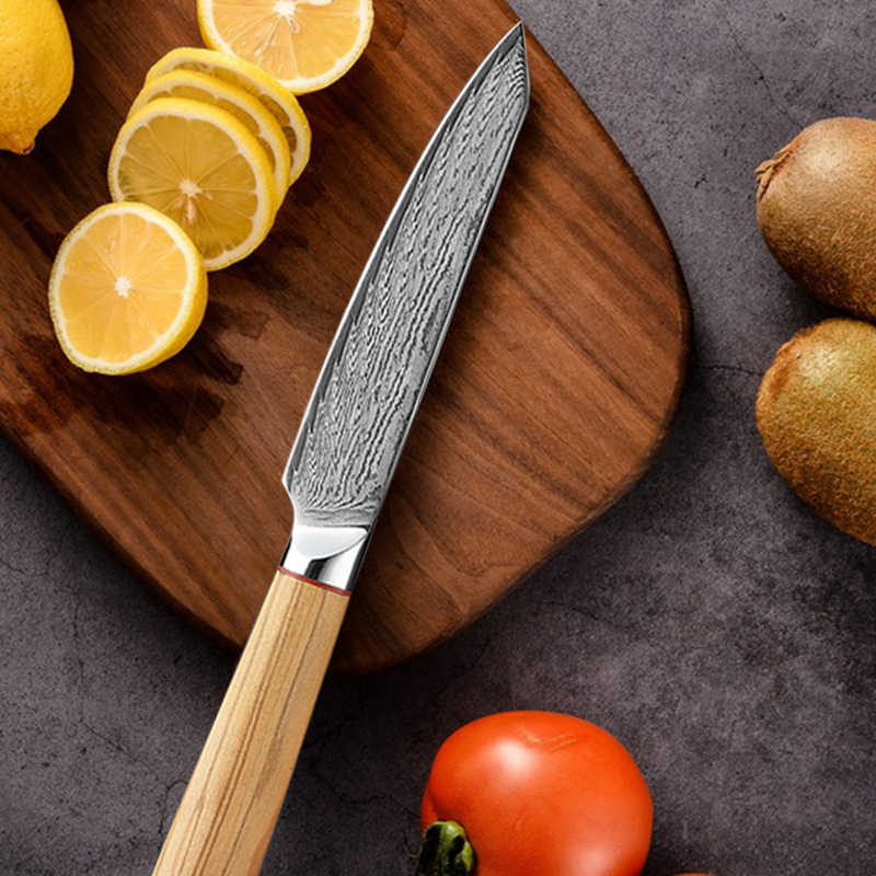 Title 5, Exquisite Household-grade Commercial Kitchen Knife