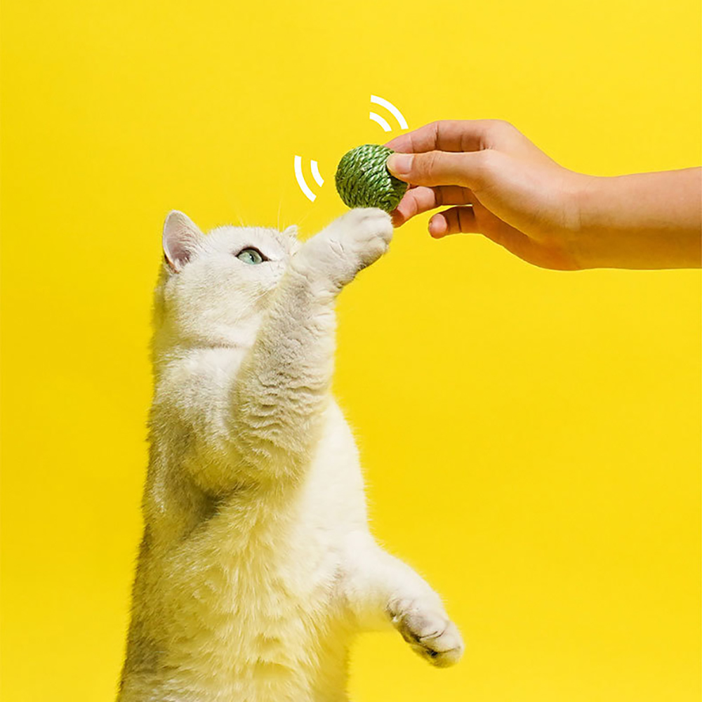 Three cat toy balls with sisal rope scratching and chew features, interactive play for indoor kittens with rustling sound and pea pod storage, great for training and hunting.