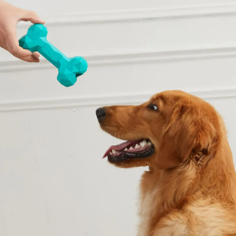 Pet Dog Teeth Grinding Bite Resistant Rubber