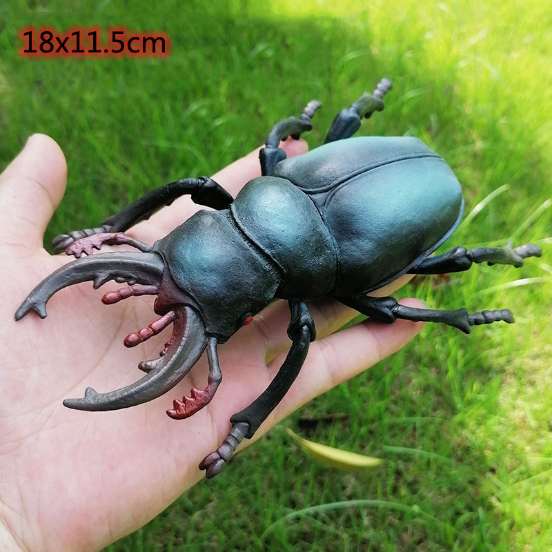 Stag beetle