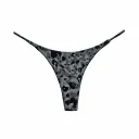 Grey Leopard