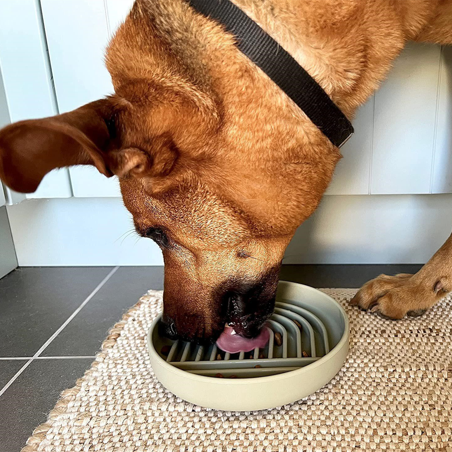 Pet Cat And Dog Fashion Simple Slow Feeding Bowl image 4