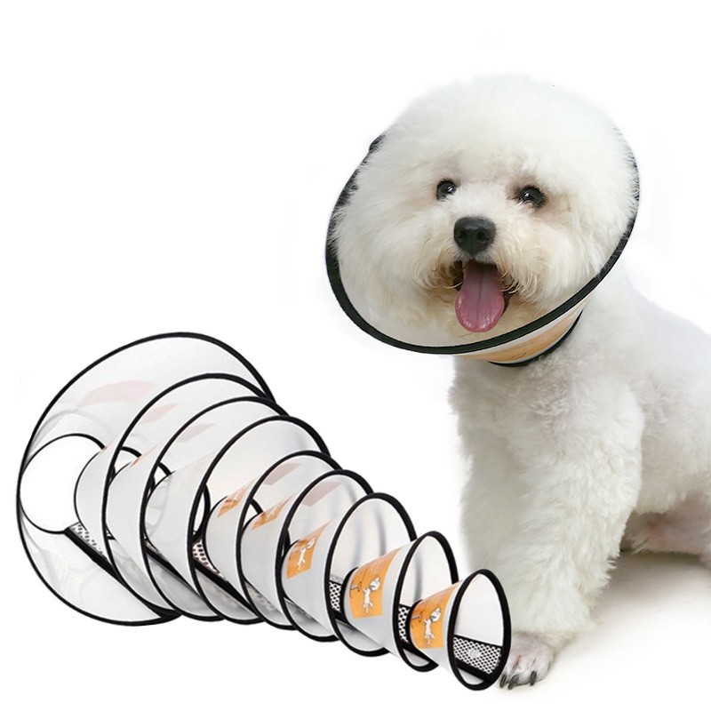 Anneau de nettoyage pour chat et chien