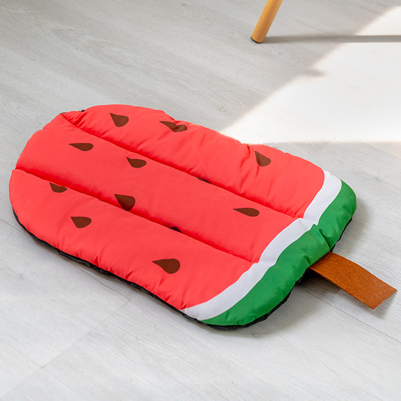 Watermelon pet pad