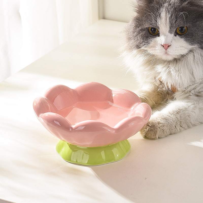 Ceramic Raised Cat Bowl Shallow Wide, Anti-Vomiting And Whisker Fatigue, Non-Slip, Tilted Cute Flower Cat Food And Water Bowls For Indoor Cats, Pink