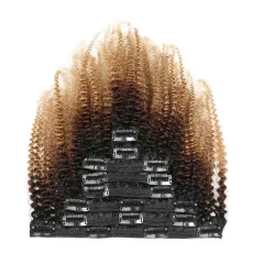Gradient Colour Real Hair Clip - Brown Gradient - View 1