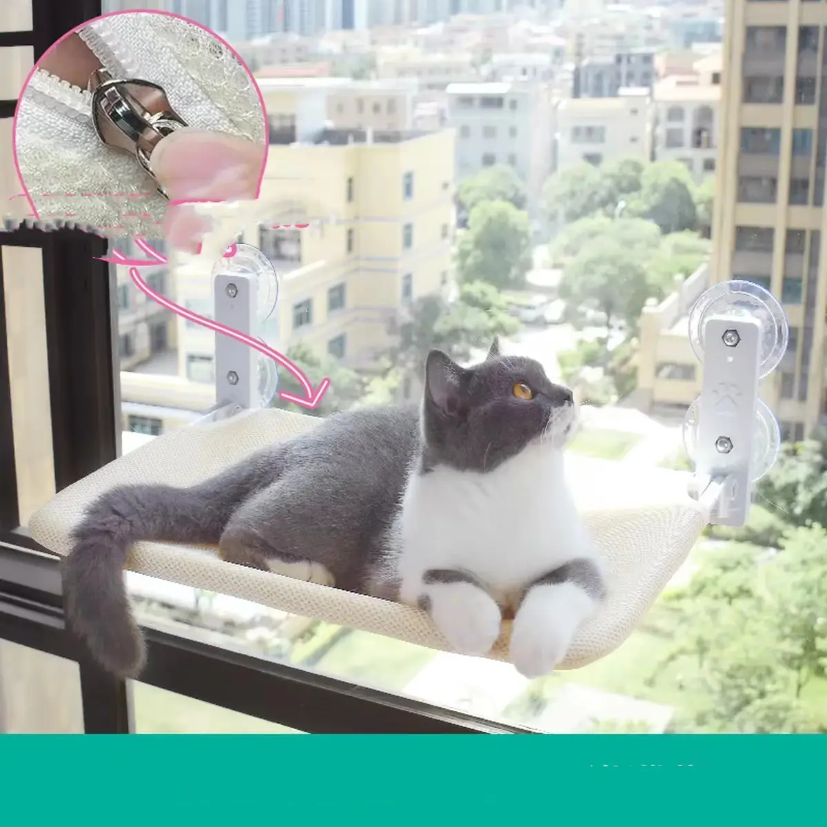 Cat Suction Cup Window Glass Hammock Pet