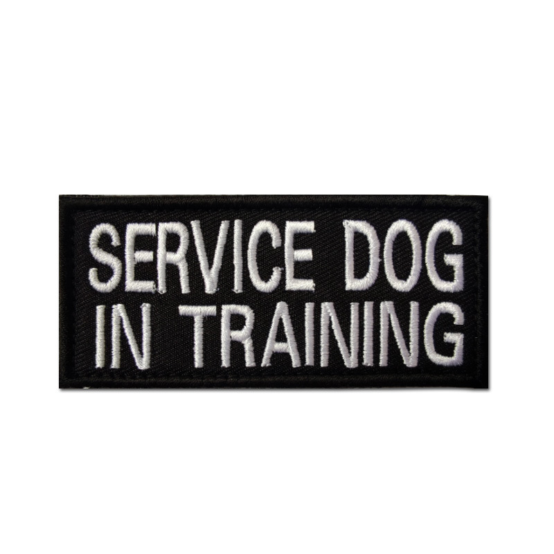 SERVICE DOG IN