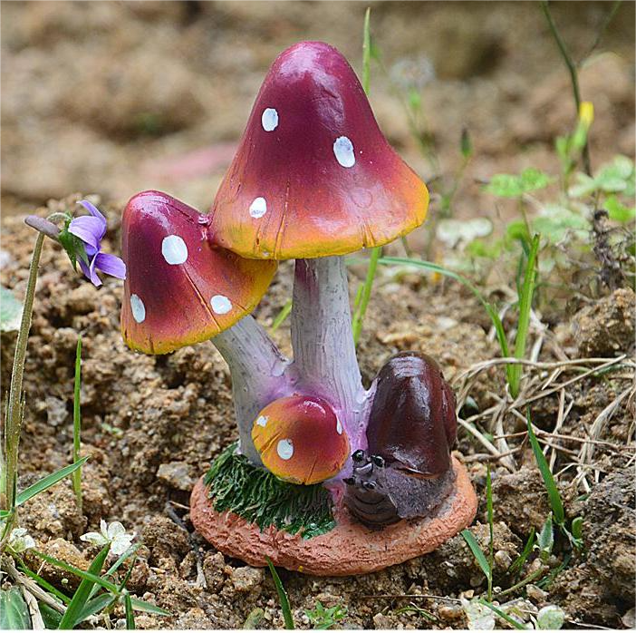 Snail Purple Mushroom