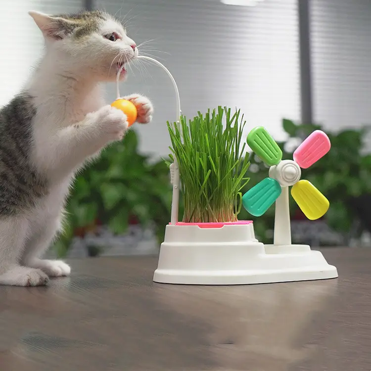 Windmill Funny Cat Stick Toy Desktop Grass Box Pet