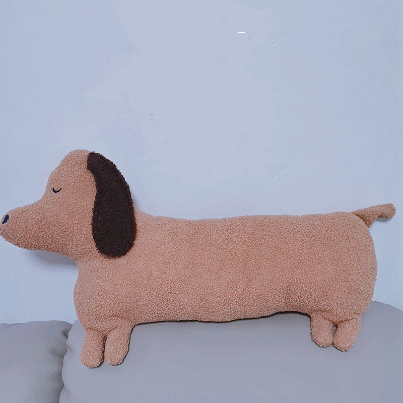 Teddy Dachshund