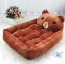 Brown Bear