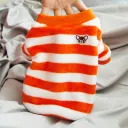 Orange And White Stripes