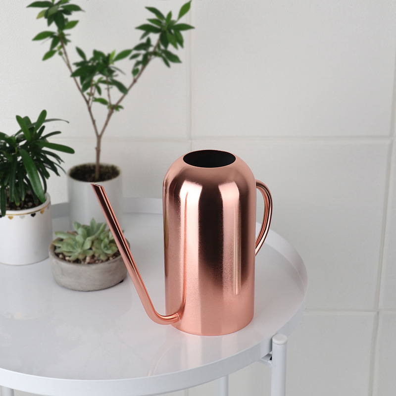 Title 2, Stainless Steel Long-Mouth Flower Watering Pot,...