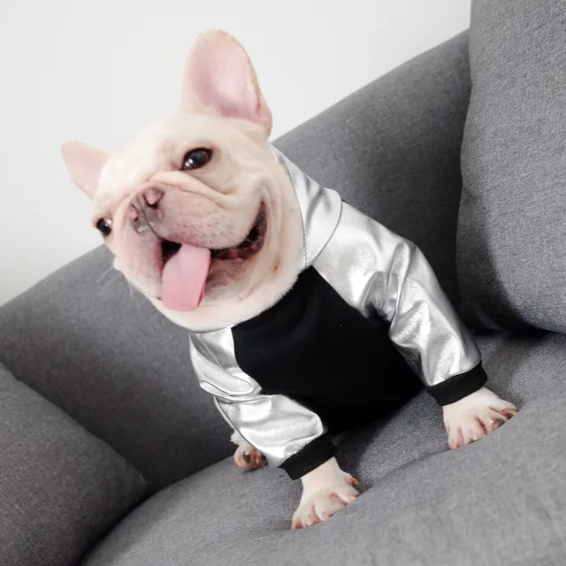 Fat Dog Elastic Clothes, Law Fighting Clothes Black Silver Glossy - Shop at LoveMi