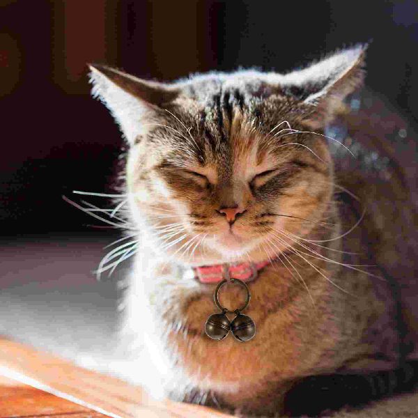 Cloche de collier pour chat et chien