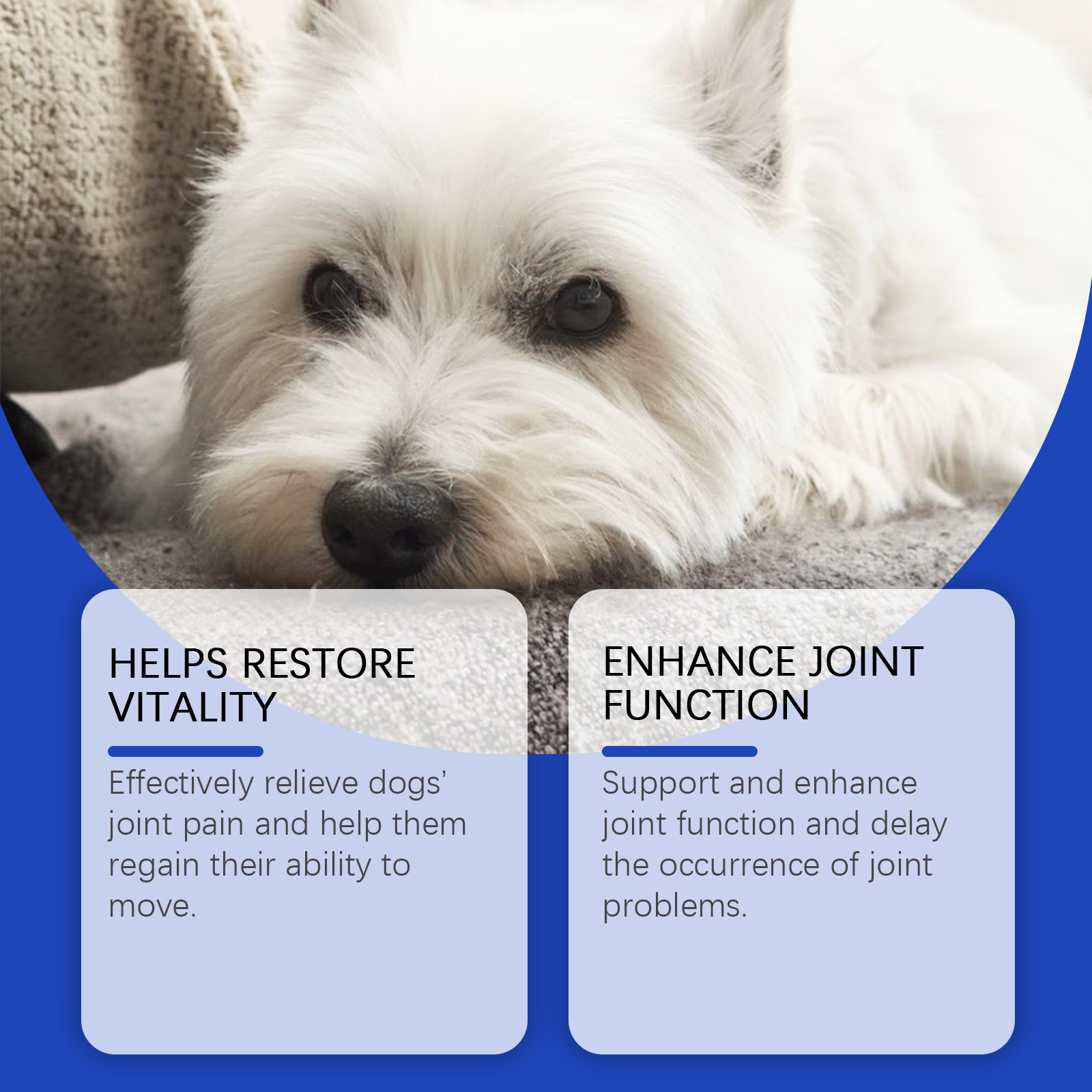 Dog Joint Relief Liquid Supplement Drops, Hip & Joint Care Support For All Breeds Dogs, Relieve Joint Pain, Reduce Inflammation, Restore Cartilage, Improve Mobility, 60ml — foto 10