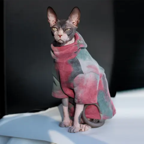 Pet Cats and Dogs Plus Velvet Warmth and Thick