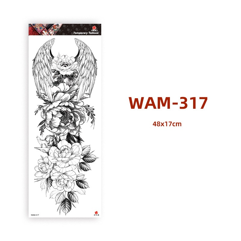 WAN317