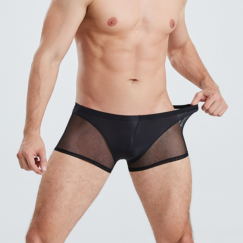 Thin Men's Mesh Translucent High Elastic Low Waist Panties