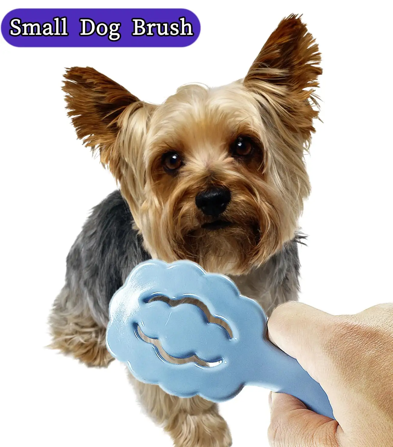 Cloud Shape Small Dog Grooming Brush Ideal Puppy Hair Brushes For Maltese And Small Breeds Perfect For Shih Tzus Yorkies And Maltipoo