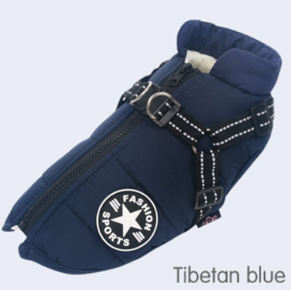 Tibetan Blue