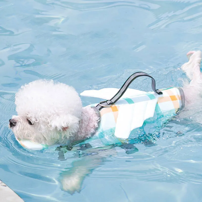 Small Medium Large Dog Pet Swimming Life