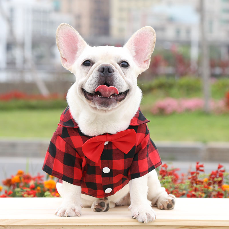 Title 6, Dog Plaid Shirt Suit Wedding Dress Method Fight...