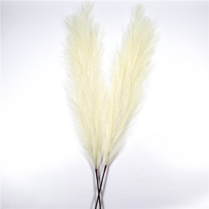 Window Decoration Long 110 Cm Pampas Natural Simulation Reed Grass Pampas Cream - Shop at LoveMi
