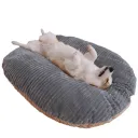 Cut Down Dog Mat