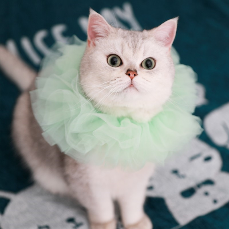 Green lace collar